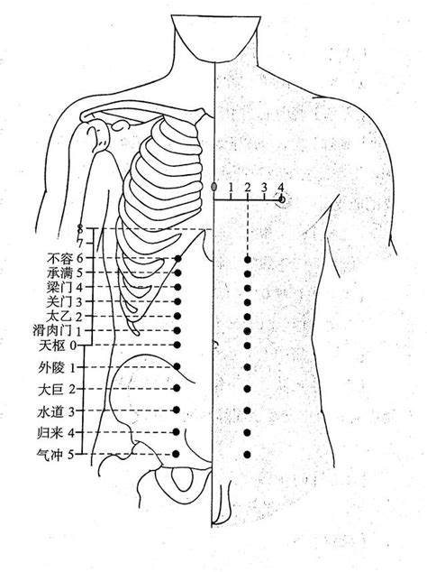 天樞穴